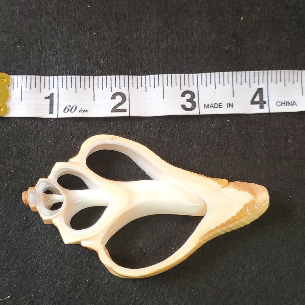 She'll carved pendent from shirt shells